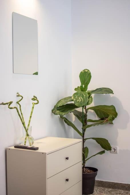Apartamento Botanical Atenas Exterior foto